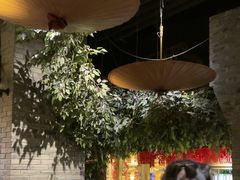 -南京大牌档(青岛万象城店)