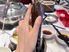 -诱货海鲜自助火锅(爱琴海购物公园东百店)