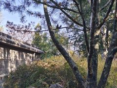 -香山公园
