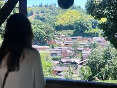 -杨家堂村