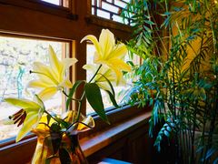 -那家山城(樱桃园店)