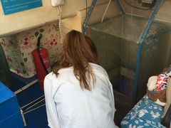 -Sirena海妖日咖夜酒