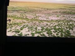 -新影联鸿泰影城