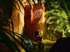 -清泉湾生态旅游度假区