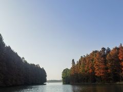 -上海海湾国家森林公园