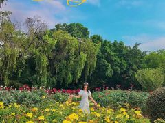 -人民公园(罗湖区)