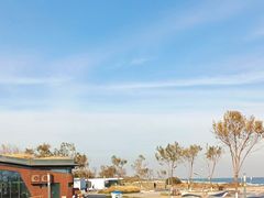 -东堤公园
