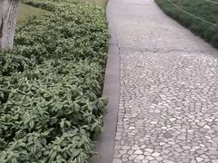 -重庆市江北嘴中央商务区中央公园