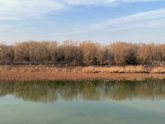 -大兴滨河森林公园