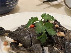 药材浸乌鸡-沙龙酒家