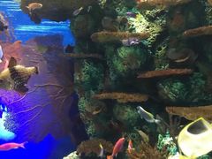 -上海海洋水族馆-停车场