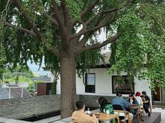 -自如ZSPACE四合院艺术餐厅
