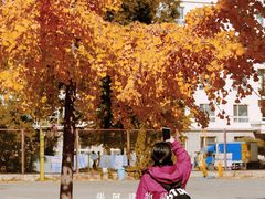 -辽宁大学(崇山校区)