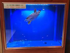-老江南春·中国龙菜(衡山路店)