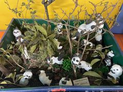 -宾果蒙特梭利托育儿童之家幼儿园(爱琴海店)