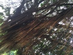 iphone_upload_pic-南国桃园旅游度假区