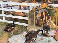 -HERRE·FARM 赫尔露营农场·团建聚会包场