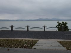 -深圳湾公园(南山区)