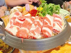 -晃晃悠悠酒肉合作社