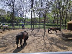 -长白岛森林公园