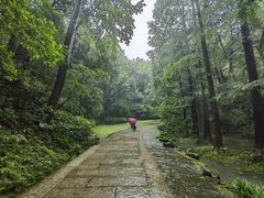 -虎跑公园