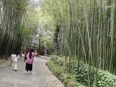 -竹泉村旅游度假区