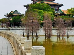 -顺峰山公园