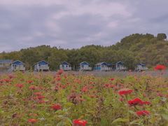 -紫海香堤香草艺术庄园