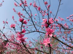 -花溪公园
