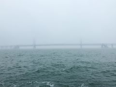 -星海湾跨海大桥