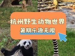 -杭州野生动物世界