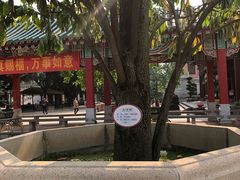 -广东圆玄道观