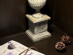 -雪灵魔法世界SHELLY’S TAROT(大良桂畔里店)