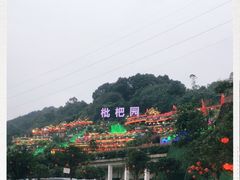 -枇杷园食为鲜火锅(南山店)