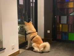 -BOCATA 西班牙餐厅(三里屯店)