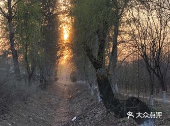 离家比较近的公园，说实话比想象的失望很多，没啥设施