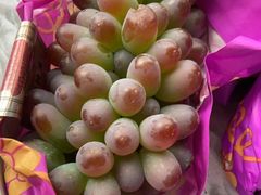 -马陆小张葡萄园农家乐