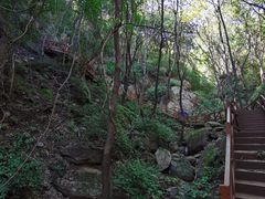 -大岭沟猕猴桃谷风景区