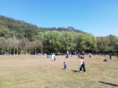 -高尔山公园