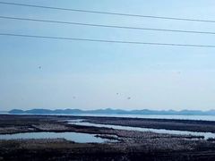 -鄱阳湖国家湿地公园