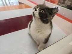 -福田卓悦INTOWN购物中心