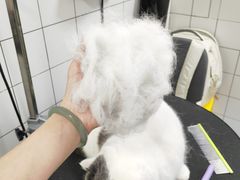 -拜鲁耶动物诊疗中心·宠家动物医院