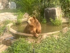 -无锡动物园·太湖欢乐园