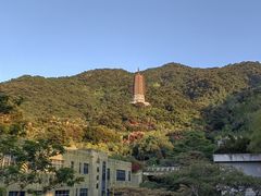 -深圳仙湖植物园