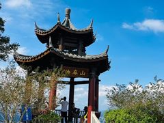 -黄埔油麻山森林公园