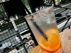 -Echo回声黑胶唱片咖啡馆