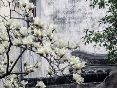 -耦园