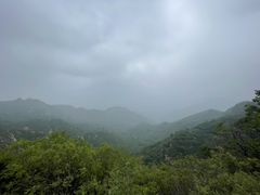 -大岭沟猕猴桃谷风景区