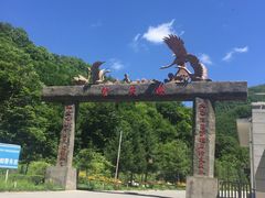 -望天鹅景区