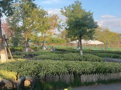 -季高兔窝窝亲子园(上海薰衣草公园店)